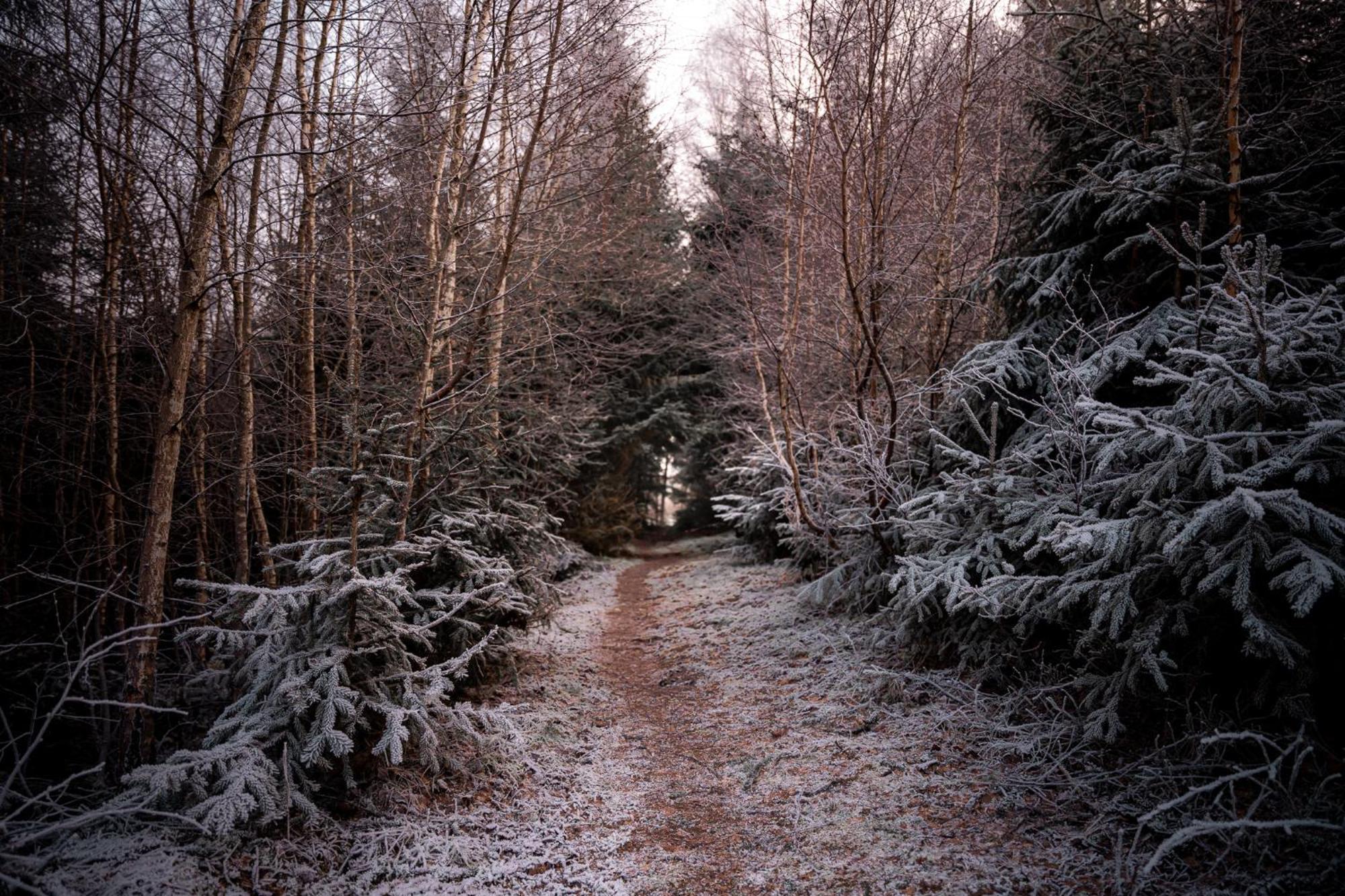 Marienhoeh - Hideaway & Spa Langweiler  Eksteriør billede